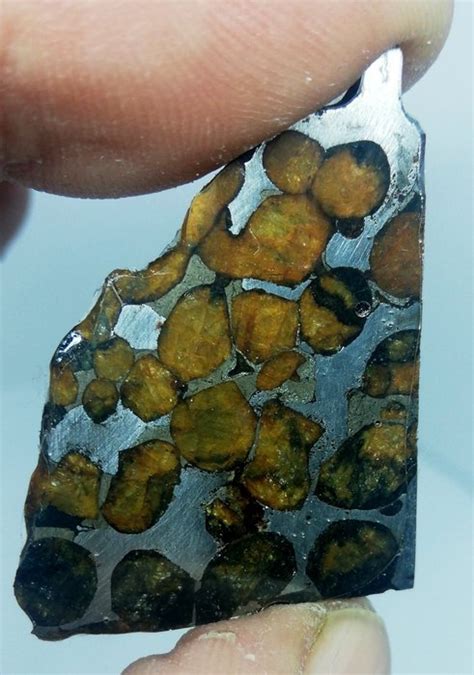 Pallasite Sericho Belles Olivines Boîte De Collection Sans Prix De