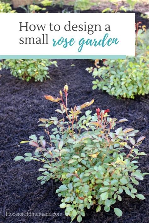 HOW TO DESIGN A SMALL ROSE GARDEN - Learn how to design and plant your ...