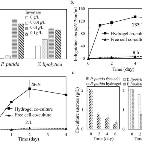 Axenic And Co Culture Heterotrophic Growth Production With Invertase