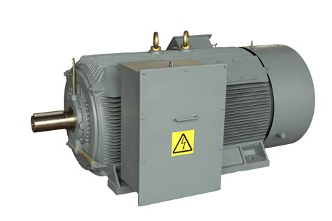 Hcm Series Cast Ironinductionacthree Phasehigh Voltage Motor High