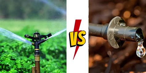 Drip Vs Spray Irrigation Which Should You Use And Why