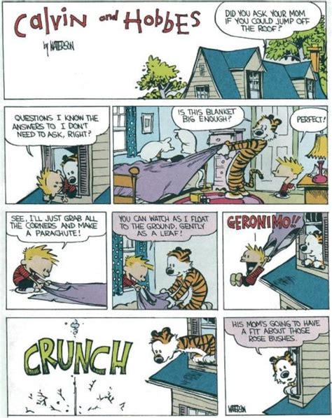 Calvin And Hobbes Daily Comics