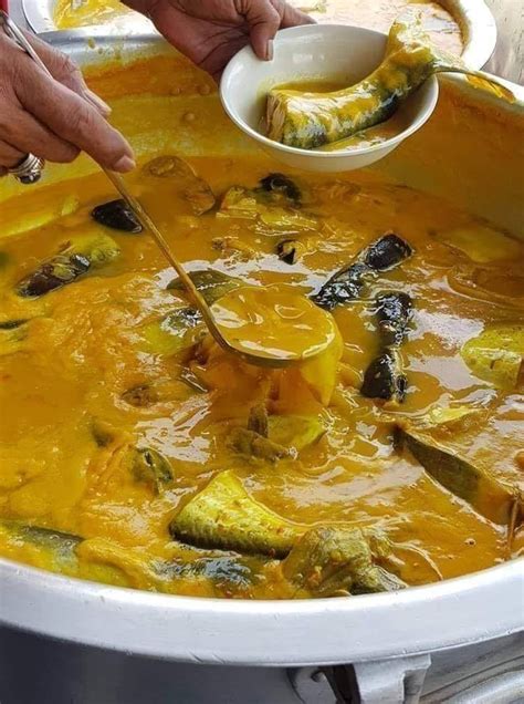 15 Koleksi Resepi Ikan Patin Yang Sedap Dan Mudah Dimasak