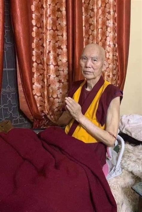 tibetan buddhist scholar  meditative thukdam state   days