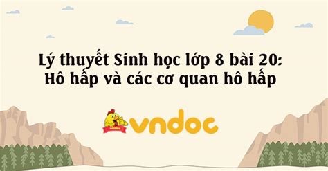 Lý thuyết Sinh học lớp 8 bài 20 Hô hấp và các cơ quan hô hấp Lý