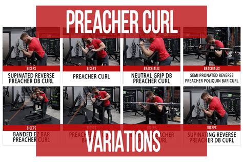 Preacher Curl Variations - N1 Training