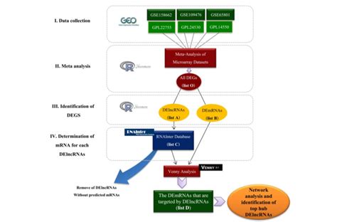 Informatics Pipeline For The Identification Of Lncrnas And Interactors