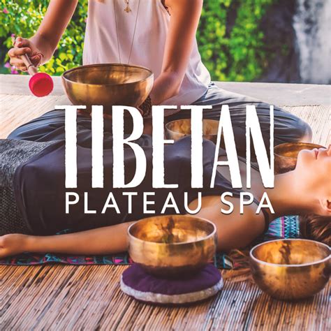 Tibetan Plateau Spa Paradise Of Tibet Healing Sounds Of Bells And