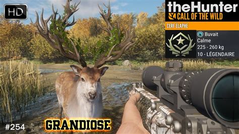 THEHUNTER COTW 254 LE CERF ÉLAPHE 10 LÉGENDAIRE GREAT ONE GRANDIOSE