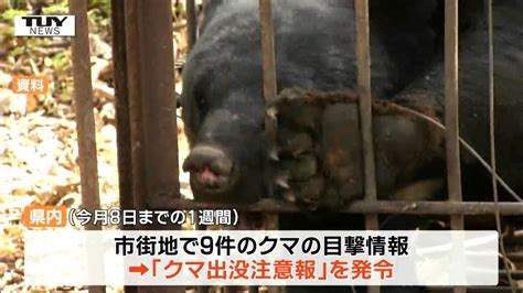 市街地での目撃 1週間で9件 山形県内に「クマ出没注意報」発令 Tbs News Dig