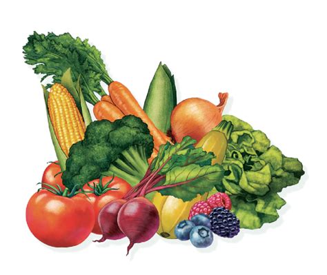 Simply Irresistible® Hybrid Sweet Corn Seed Gurneys Seed And Nursery