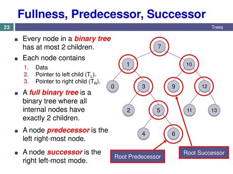 81 Tree Terminology And Applications Ppt Download