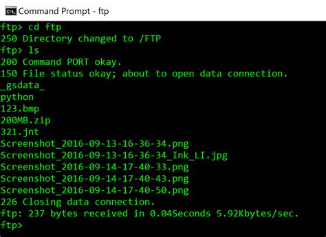 Understanding Ftp Commands In The Command Line Hosted Ftp Help