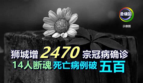 狮城增2470宗冠病确诊 14人断魂 死亡病例破五百 柔佛圈