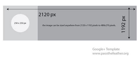 google template pass  feather indigenous arts collective