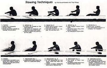 Rowing Biomechanics: What constitutes optimal, efficient technique? - Home