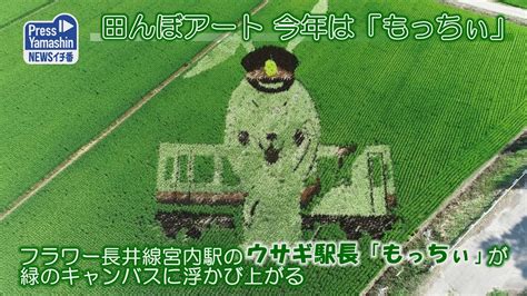 田んぼアート、今年は「もっちぃ」 白鷹町高玉 Youtube