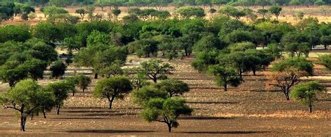 Camerún Guía de viaje Evaneos