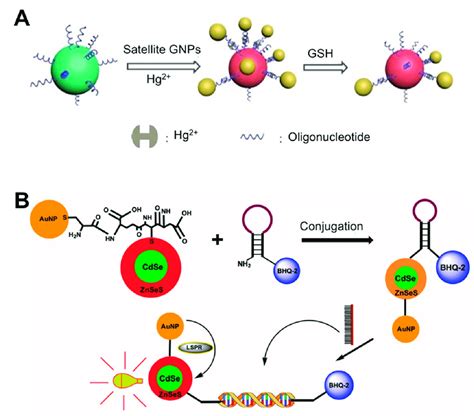 Lspr Biosensing Strategies Based On Solution Phase Based Nanoparticles