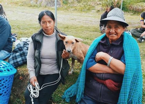 Campa A De Esterilizaci N Masiva Se Realiz En Quitumbe Quito Informa