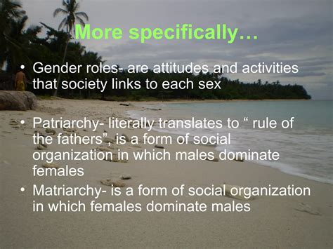 Gender Stratification Ppt