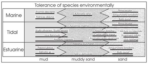 Simplified Diagram To Illustrate The Environmental Tolerances Of Download Scientific Diagram