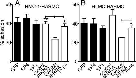 Figure From Cadm Is A Key Receptor Mediating Human Mast Cell