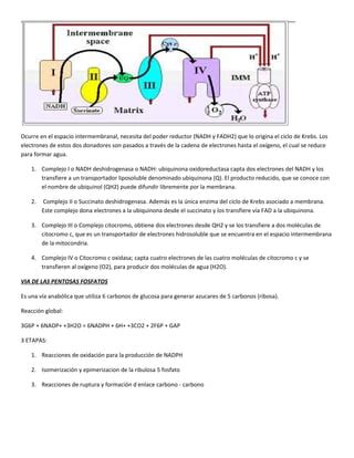 Resumen Bioquimica Solemne Pdf