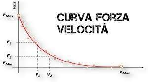 Profilo forza velocità