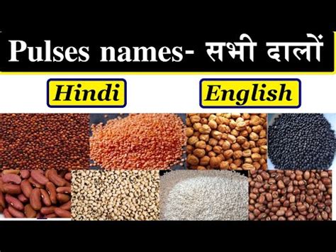 Pulses Names In English And Hindi With Pictures Dalo Ke Naam Hindi