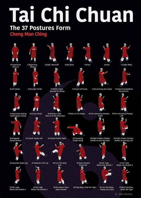 37 Postures De La Forme Cheng Man Ching Tiandi