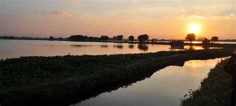 East Kolkata Wetlands