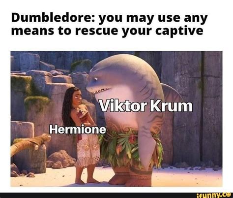 Wiktor Memes Best Collection Of Funny Wiktor Pictures On Ifunny