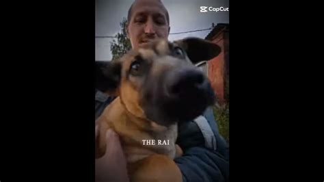 @GERASEV #герасёв #герасев Надеюсь Персик согреет душу Марата..Помним ...