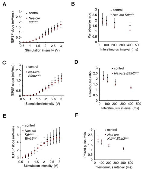 Figures And Data In Ephrinb2 Regulates Vegfr2 During Dendritogenesis