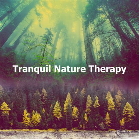 Wild Birds Música E Letra De Nature Therapy Spotify