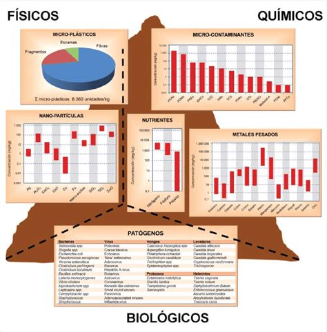 Los Contaminantes Escolar Abc Color