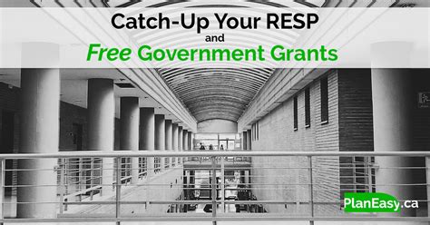 Catch Up On Your Resp Contributions And Free Government Grants Planeasy