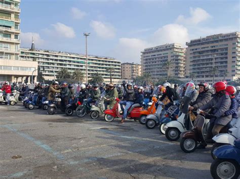 Genova Torna L Ordinanza Anti Vespe Porcile Non Finita In Un