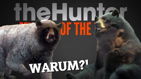 WARUM Macht Man SOWAS Hacker Lodge Im Trophy Lodge React TheHunter