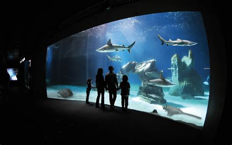 biglietti dellacquario  genova ingresso riservato combo