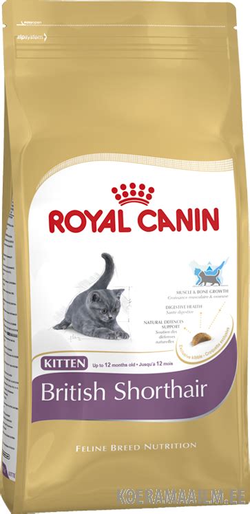 Royal Canin Kitten British Shorthair Kg