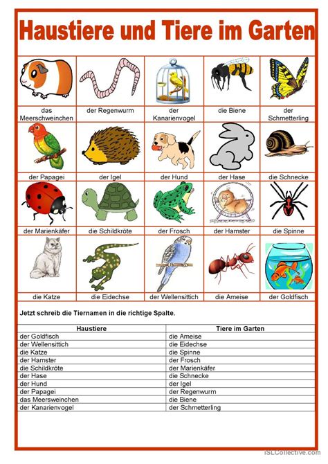 Bilderw Rterbuch Haustiere Und Ti Deutsch Daf Arbeitsbl Tter Pdf Doc