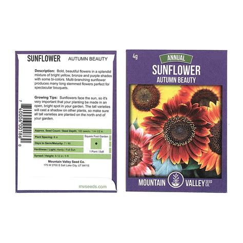 Sunflower Wild Flower Garden Seeds Autumn Beauty 4 Gram Packet