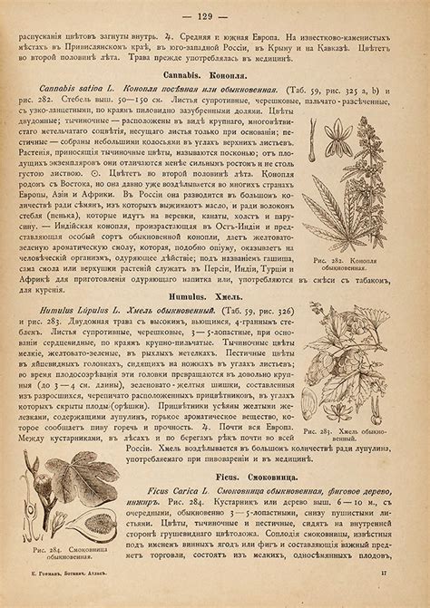 Гофман, К. Ботанический атлас по системе Де-Кандоля. ... | Аукционы ...