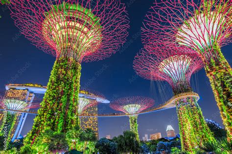 Gardens By The Bay Supertrees Show Fasci Garden