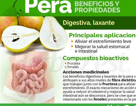 Descubre Los Secretos De La Planta De Pera Cultivo Cuidados Y