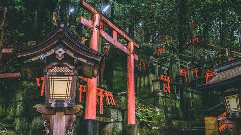 Kitsune Wiki Otherkinfictionkin Amino