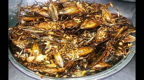 Deep Fried Spider In Cambodia Local Delicacy Deep Fried Insects 3