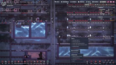 Oxygen Not Included 100 Dupes 58 YouTube